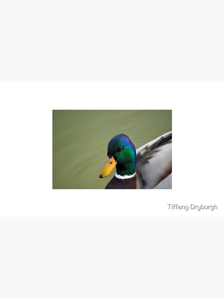 Thumbnail 6 of 6, Coffee Mug, Hello Ducky! designed and sold by Tiffany.