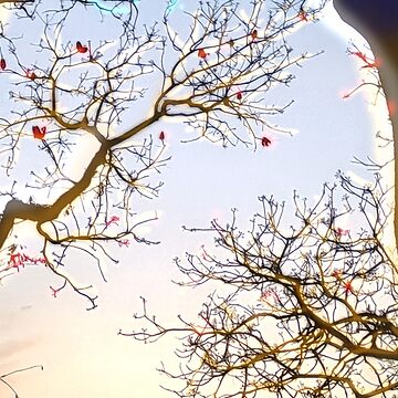 Artwork thumbnail, Golden Sunset Tree Silhouette Designs by AheraRoses