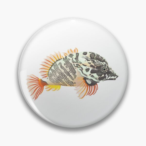 Item preview, Grunt Sculpin (Rhamphocottus richardsonii) designed and sold by SeaMonstress.