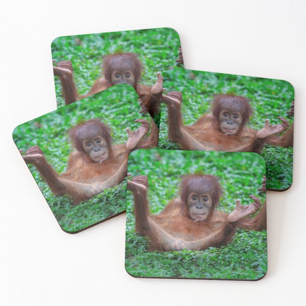 Item preview, Baby Orangutan at play designed and sold by David ST Loh Images.