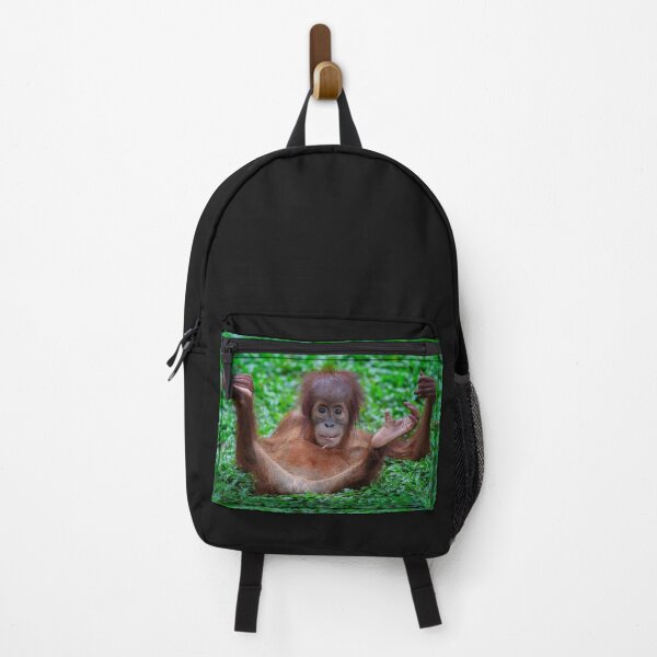 Item preview, Baby Orangutan at play designed and sold by David ST Loh Images.