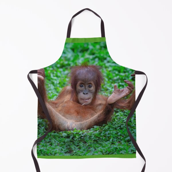 Item preview, Baby Orangutan at play designed and sold by David ST Loh Images.