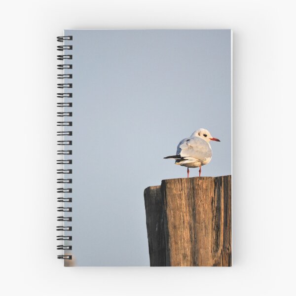 Item preview, Rest Stop designed and sold by Tiffany Dryburgh.