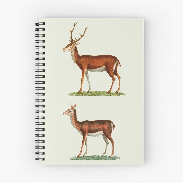 Item preview, Male & Female Deer (1830) designed and sold by arcane-snake.