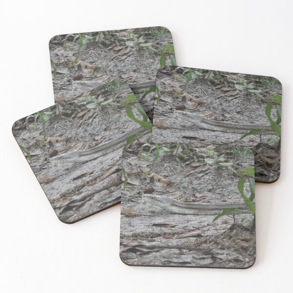 Item preview, Pseudomurals 00035 (Gray Rat Snake) designed and sold by CleanWIP.