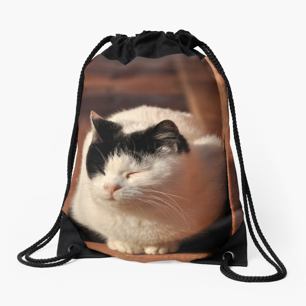 Item preview, Drawstring Bag designed and sold by Tiffany.