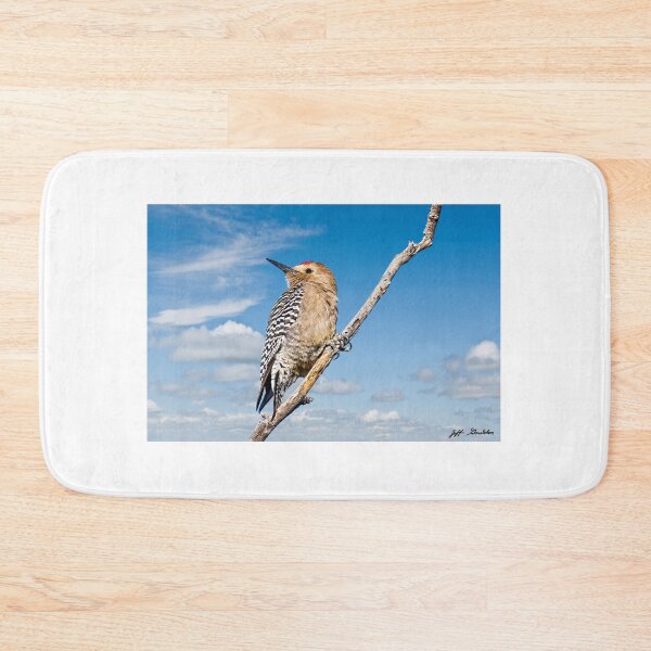 Item preview, Male Gila Woodpecker designed and sold by Jeff Goulden Photography.