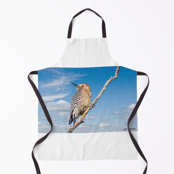 Item preview, Male Gila Woodpecker designed and sold by Jeff Goulden Photography.