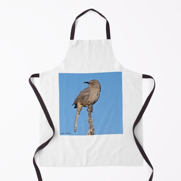 Item preview, Curve-Billed Thrasher designed and sold by Jeff Goulden Photography.