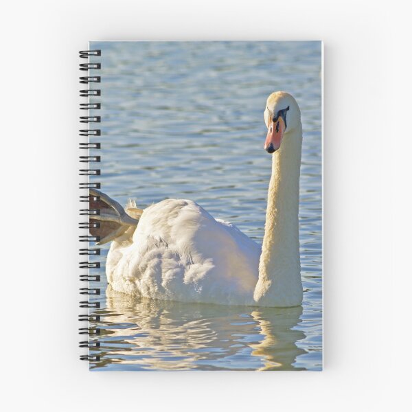 Item preview, Mute swan  ( Cygnus olor ) designed and sold by MarekM.