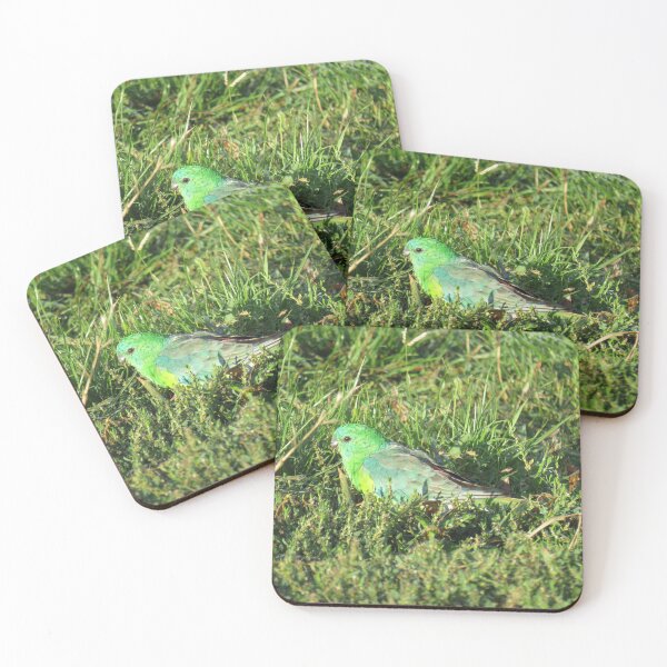 Item preview, Red rumped parrot designed and sold by greentiger1.