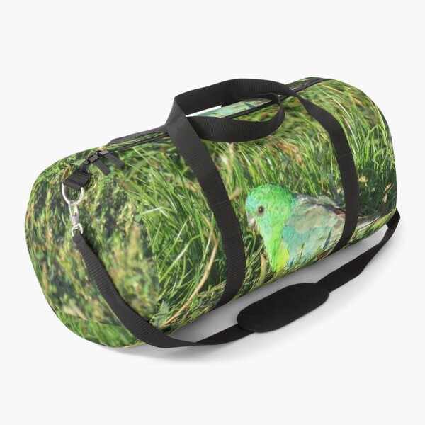 Item preview, Red rumped parrot designed and sold by greentiger1.