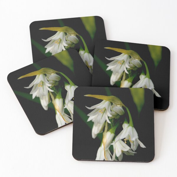Item preview, Wild Garlic designed and sold by GP1746.