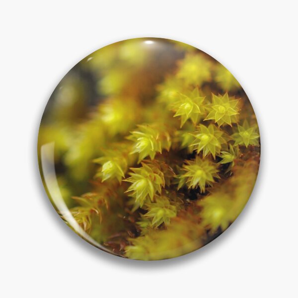 Artikelvorschau, Little Green Stars entworfen und verkauft von Tiffany Dryburgh.