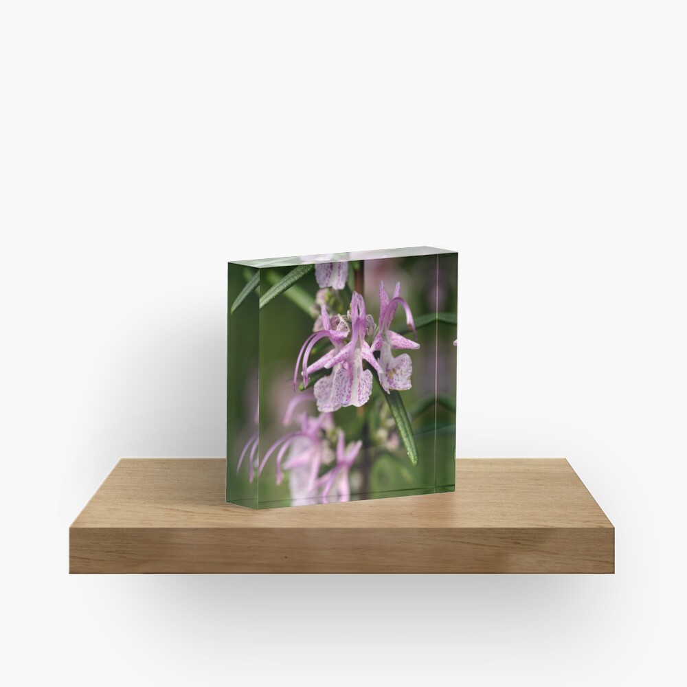 Item preview, Acrylic Block designed and sold by Tiffany.