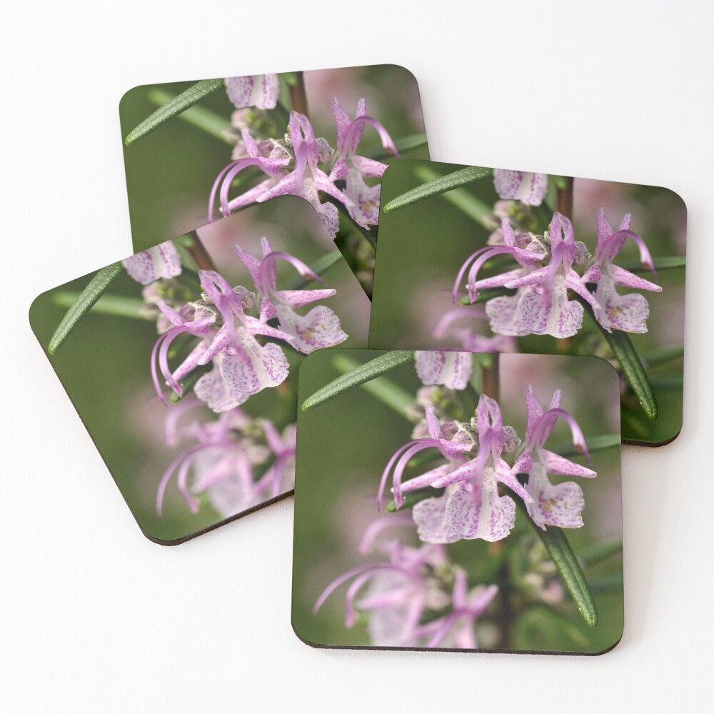 Item preview, Coasters (Set of 4) designed and sold by Tiffany.