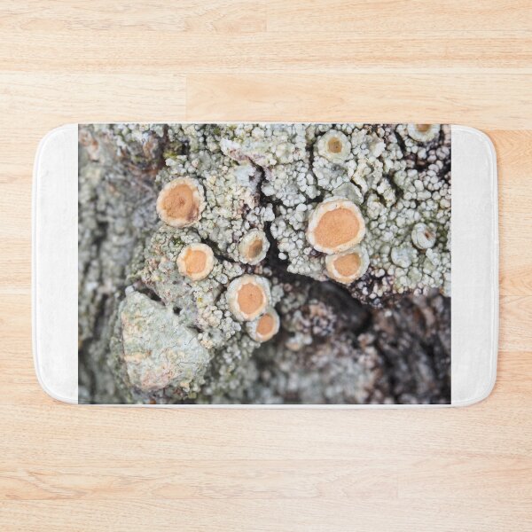 Item preview, Lichen on a tree bark designed and sold by SDym Photography.