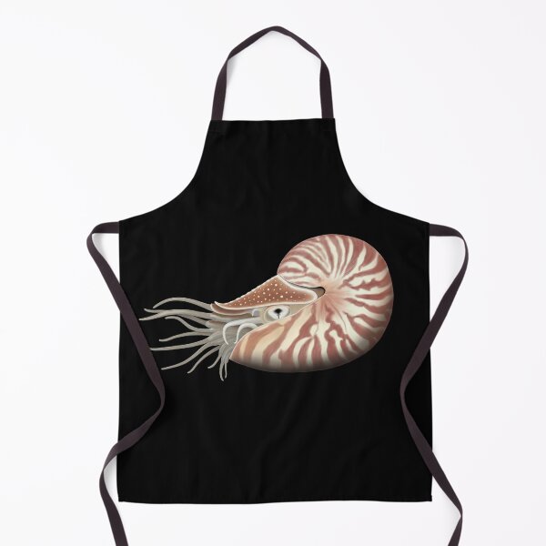 Item preview, Chambered Nautilus designed and sold by SeaMonstress.