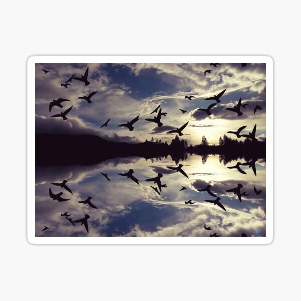 Birds fly away Sticker