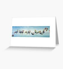 Finches On Parade Greeting Card