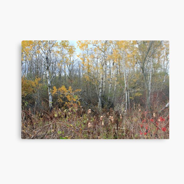 Fall Structures Metal Print
