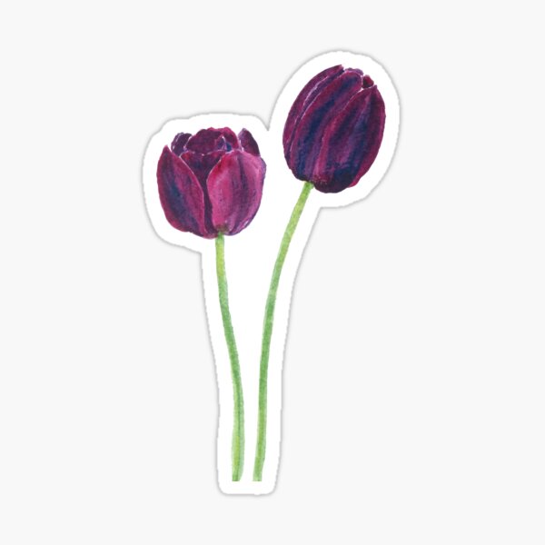 Item preview, hand painted two dark purple tulips watercolor  designed and sold by ColorandColor.