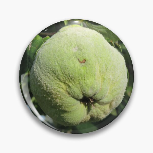 Item preview, Quince designed and sold by greentiger1.