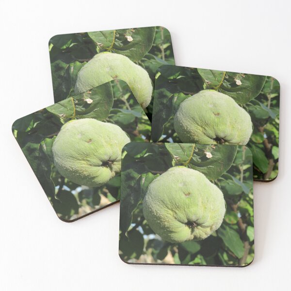 Item preview, Quince designed and sold by greentiger1.