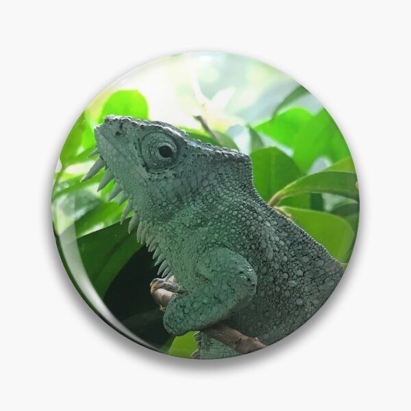 Item preview, Chameleon designed and sold by Amomentinthesun.