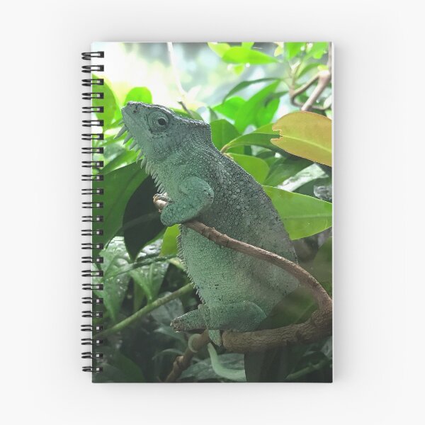 Item preview, Chameleon designed and sold by Amomentinthesun.