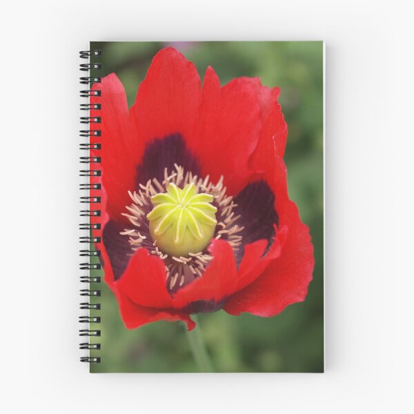Item preview, Poppy c designed and sold by Janone.
