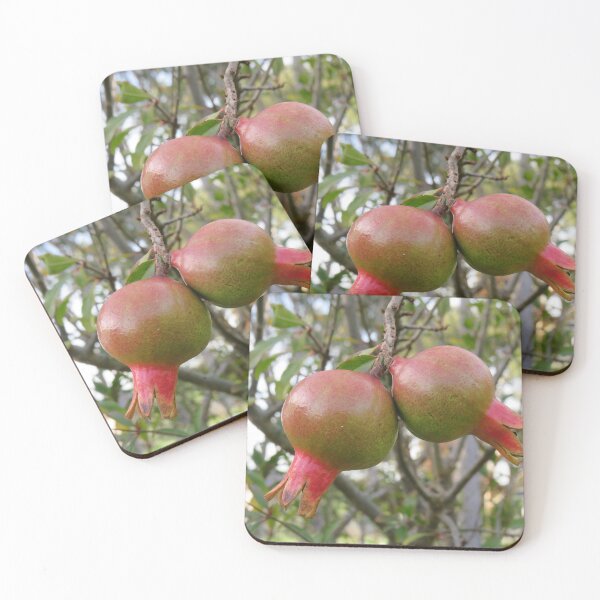 Item preview, Pomegranate designed and sold by greentiger1.