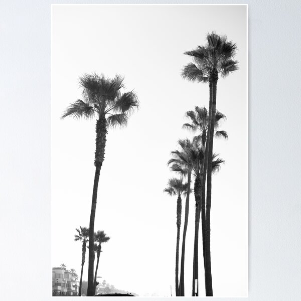Item preview, Palm tree Manhattan beach California  designed and sold by AHphotopia73.