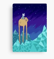 Adventure Skies Canvas Print