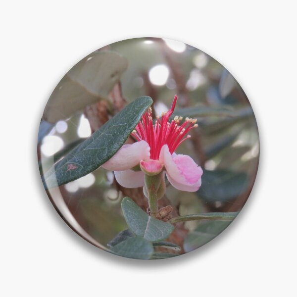Item preview, Feijoa flower designed and sold by greentiger1.