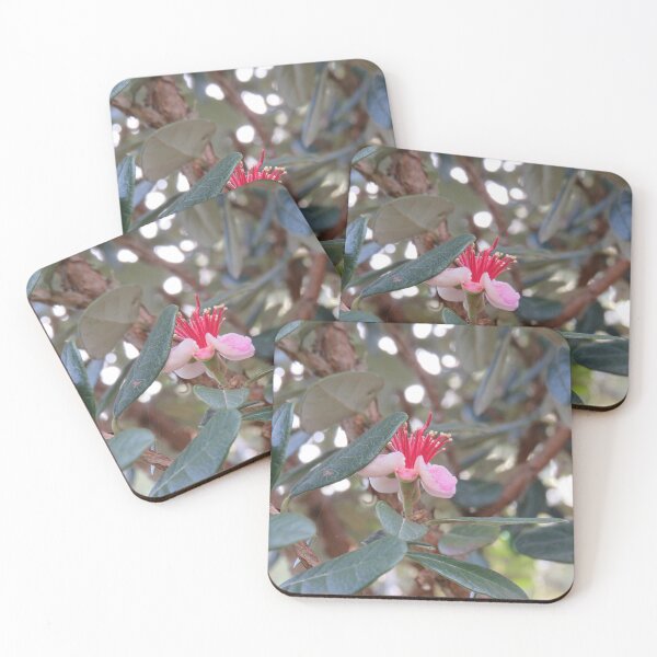 Item preview, Feijoa flower designed and sold by greentiger1.