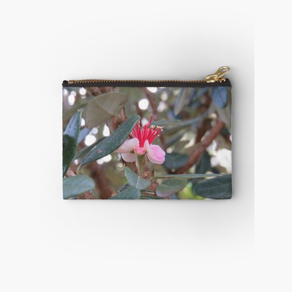 Item preview, Feijoa flower designed and sold by greentiger1.