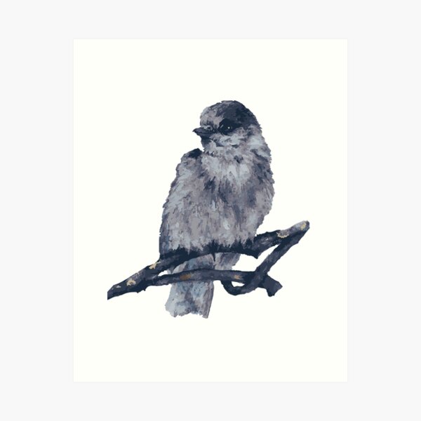 Winter Sweet Blue Bird Art Print