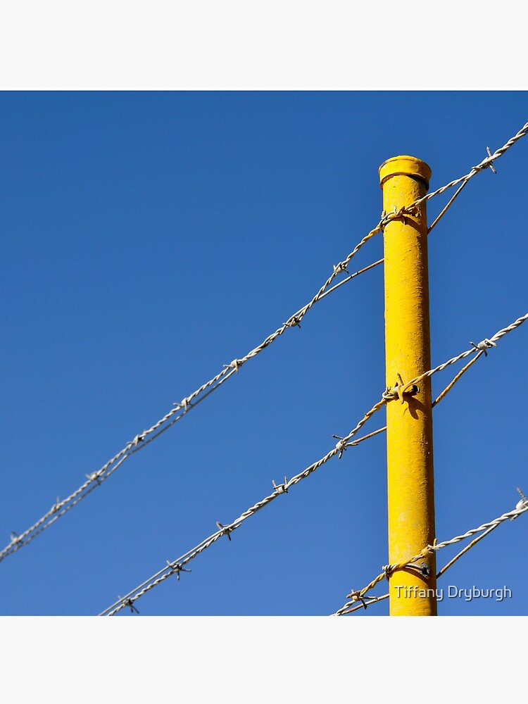 Yellow on Blue by Tiffany