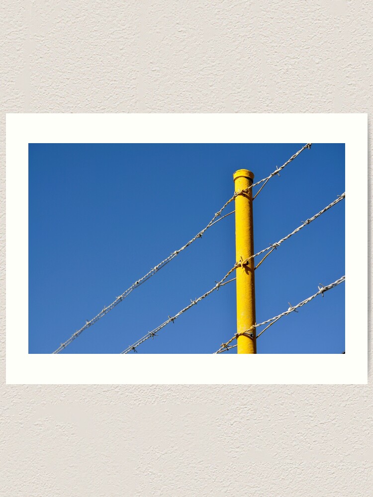 Alternate view of Yellow on Blue Art Print