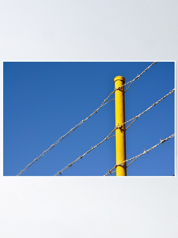 Alternate view of Yellow on Blue Poster