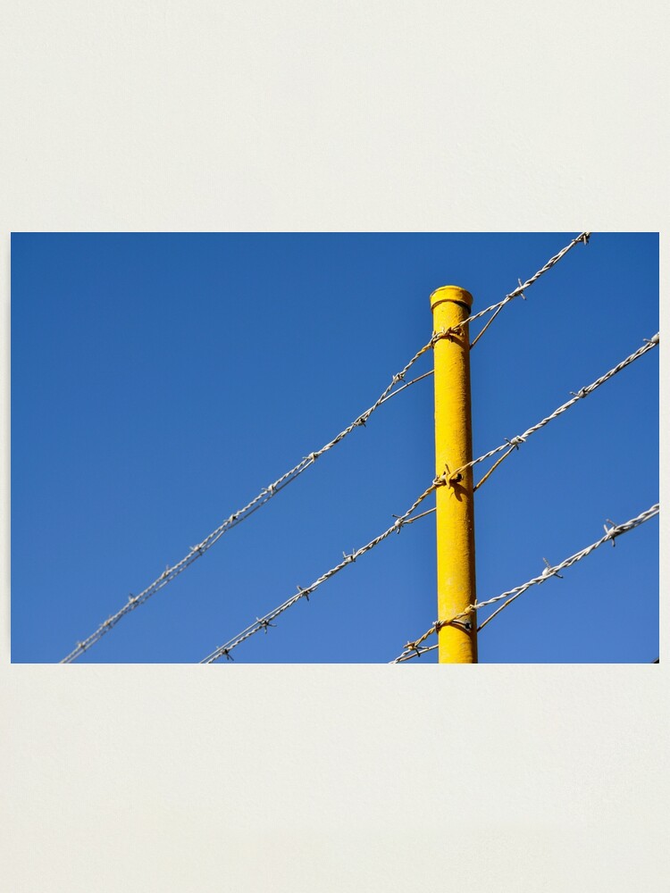 Alternate view of Yellow on Blue Photographic Print