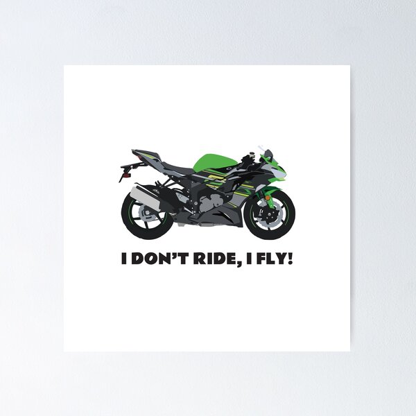 その他 DON!! THROW BACK! 2001 ZX-12R 2200 miles $6450 stock#7286 All