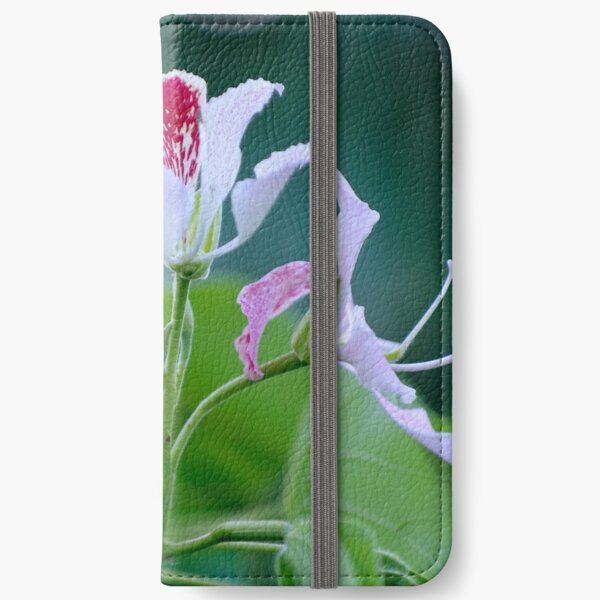 Bauhinia Monandra (Pink Orchid Tree) Flower Cluster iPhone Wallet