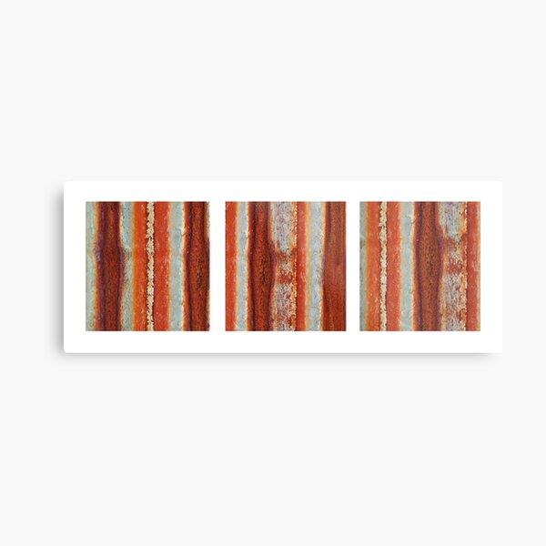 Metal Print
