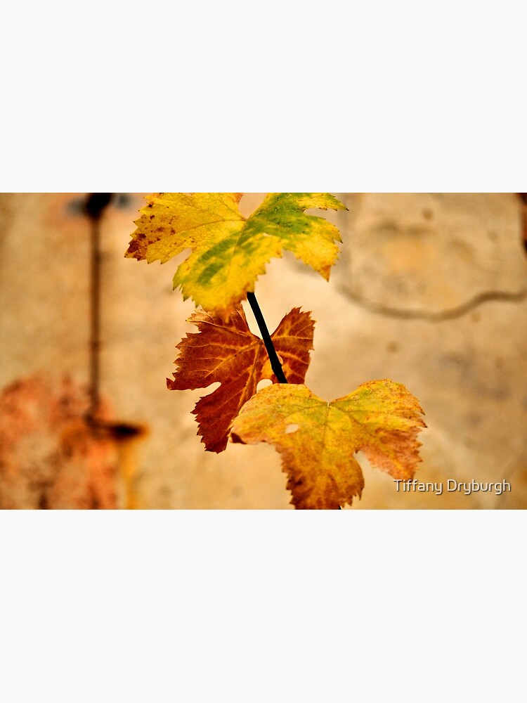 Autumnal by Tiffany