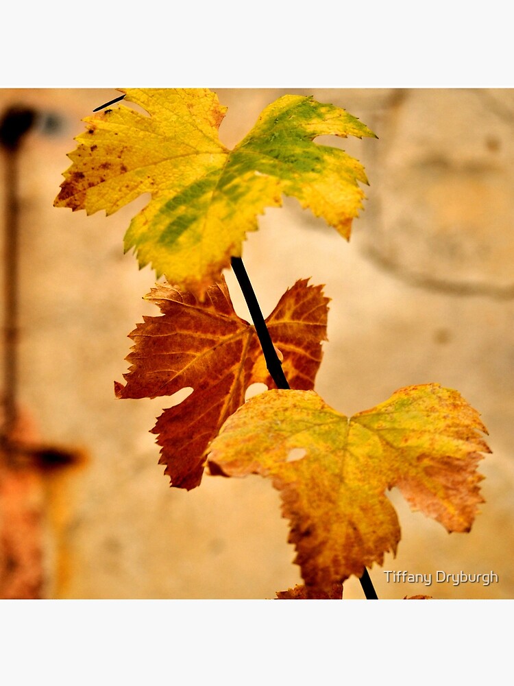 Autumnal by Tiffany