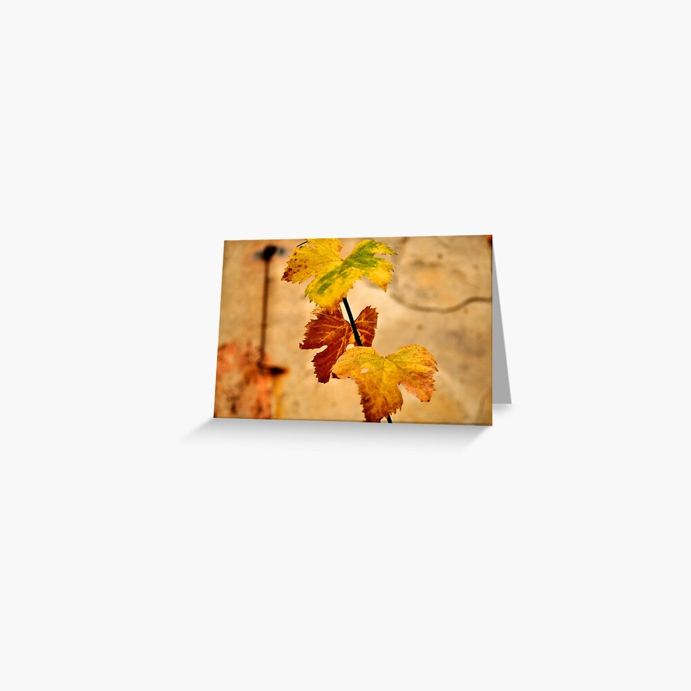 Autumnal Greeting Card