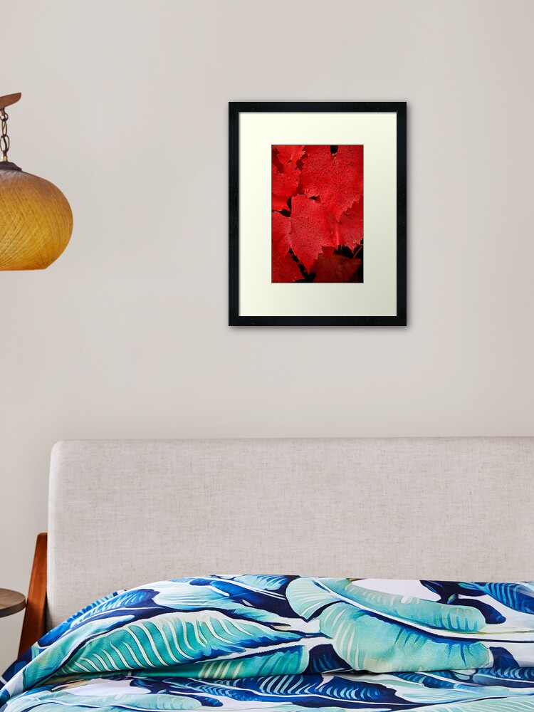 Thumbnail 1 of 7, Framed Art Print, Brilliance designed and sold by Tiffany Dryburgh.