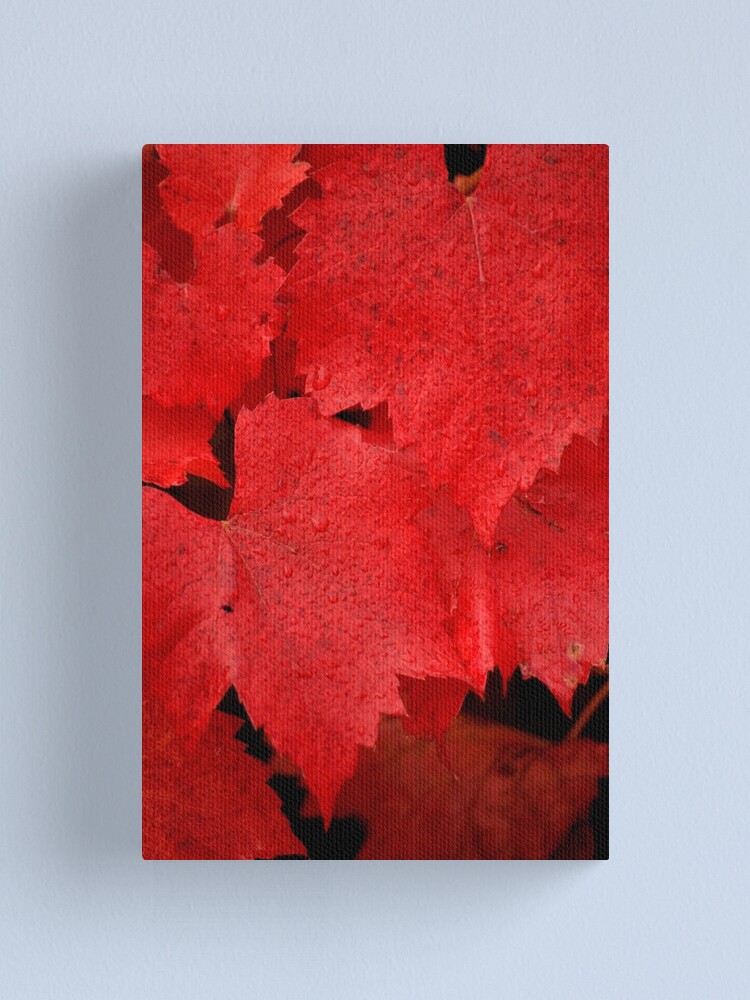 Thumbnail 2 of 3, Canvas Print, Brilliance designed and sold by Tiffany Dryburgh.